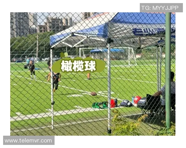 足球猫猫带你领略球场激情与萌宠魅力的完美结合